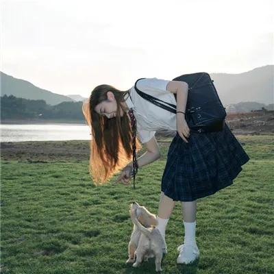 柴犬公园